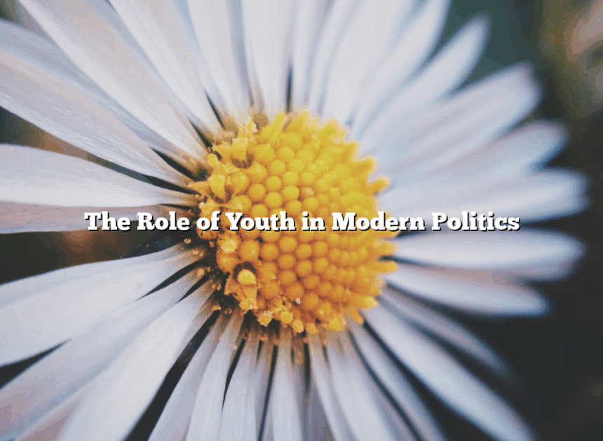 The Role of Youth in Modern Politics