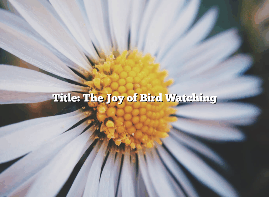 Title: The Joy of Bird Watching