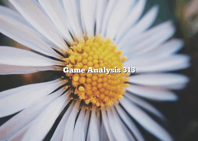 Game Analysis 313