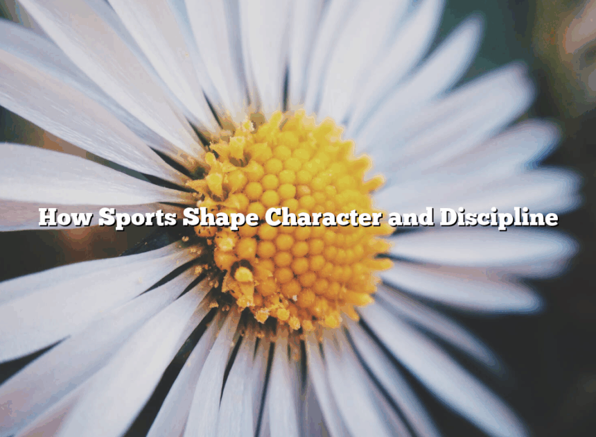 How Sports Shape Character and Discipline