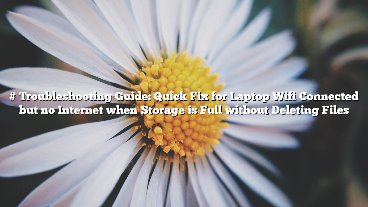 # Troubleshooting Guide: Quick Fix for Laptop Wifi Connected but no Internet when Storage is Full without Deleting Files