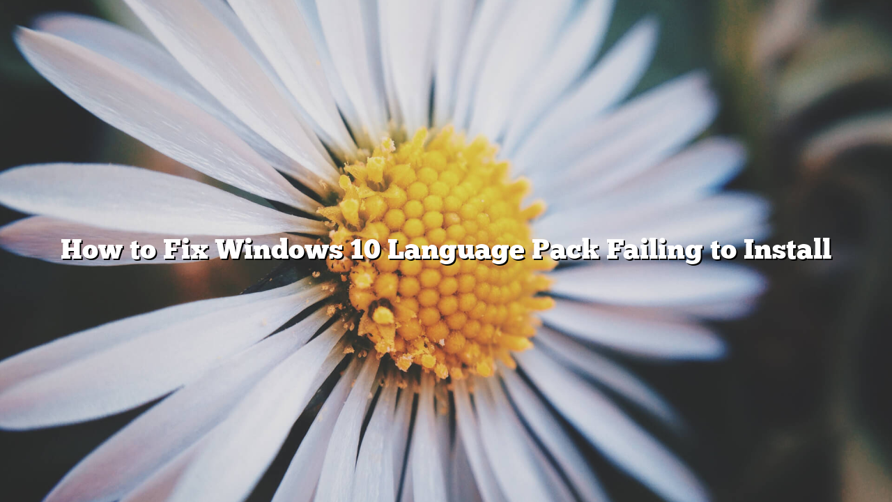 How to Fix Windows 10 Language Pack Failing to Install